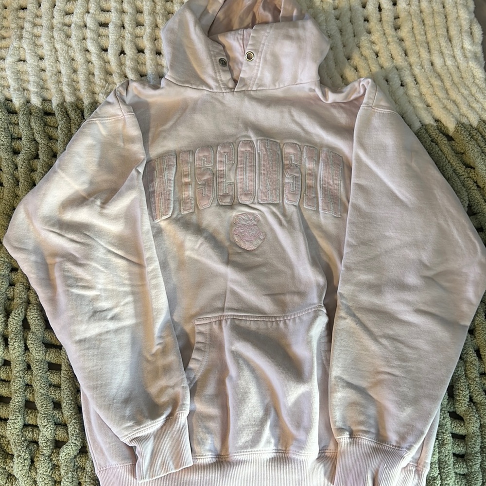 Baby pink Wisconsin hoodie